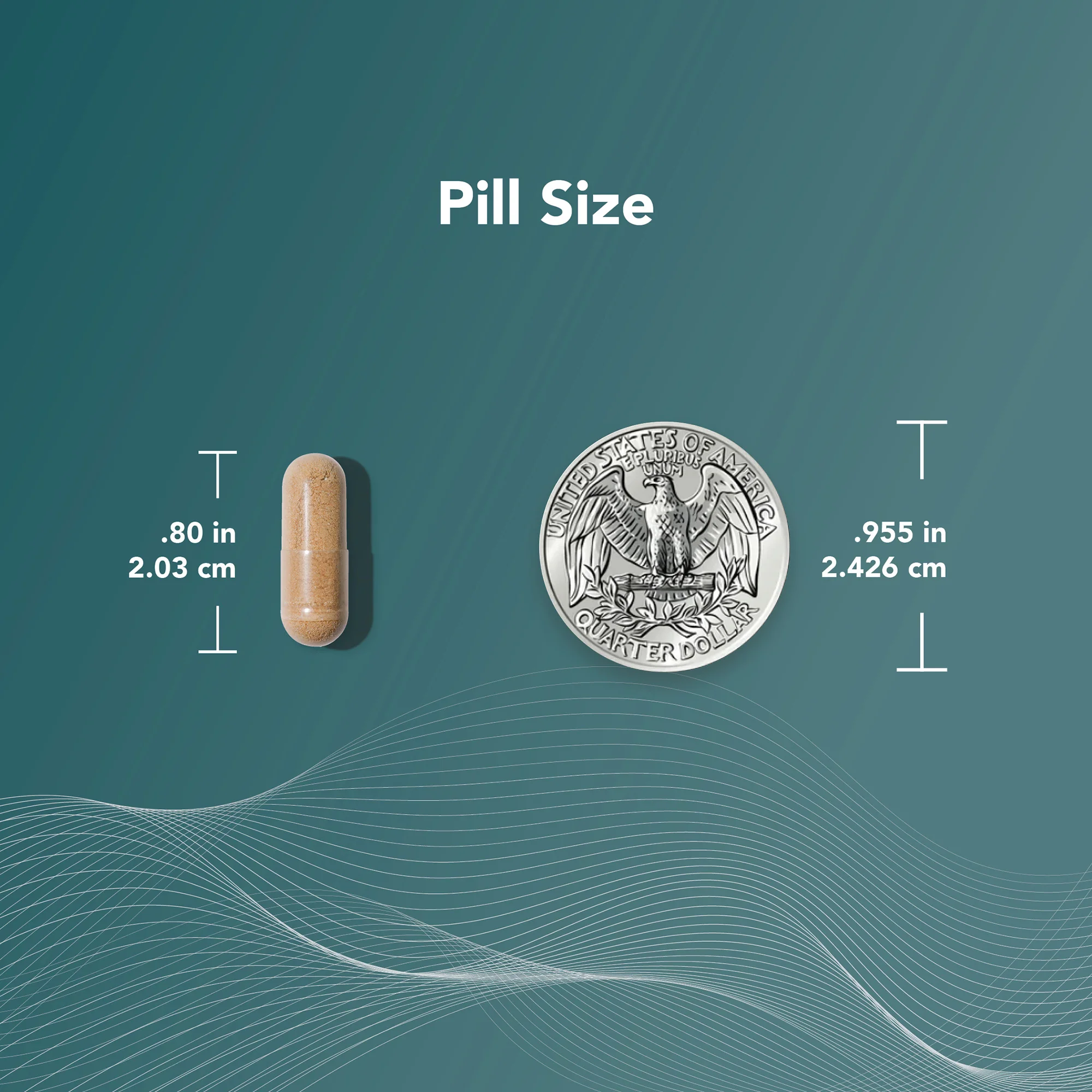 AndroSyn™ Nutritional Supplement - Image 8