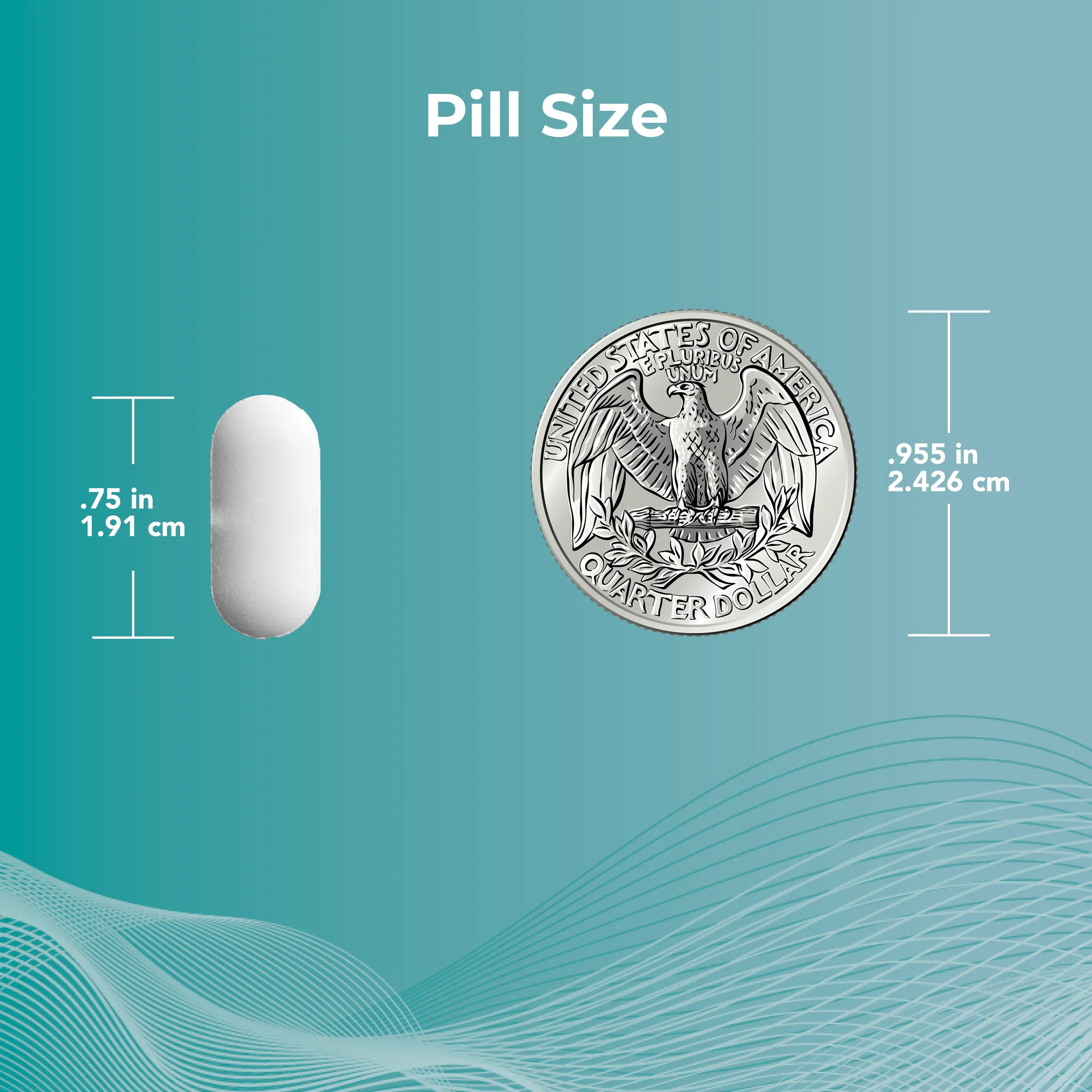 Bladder 2.2 Nutritional Supplement - Image 7