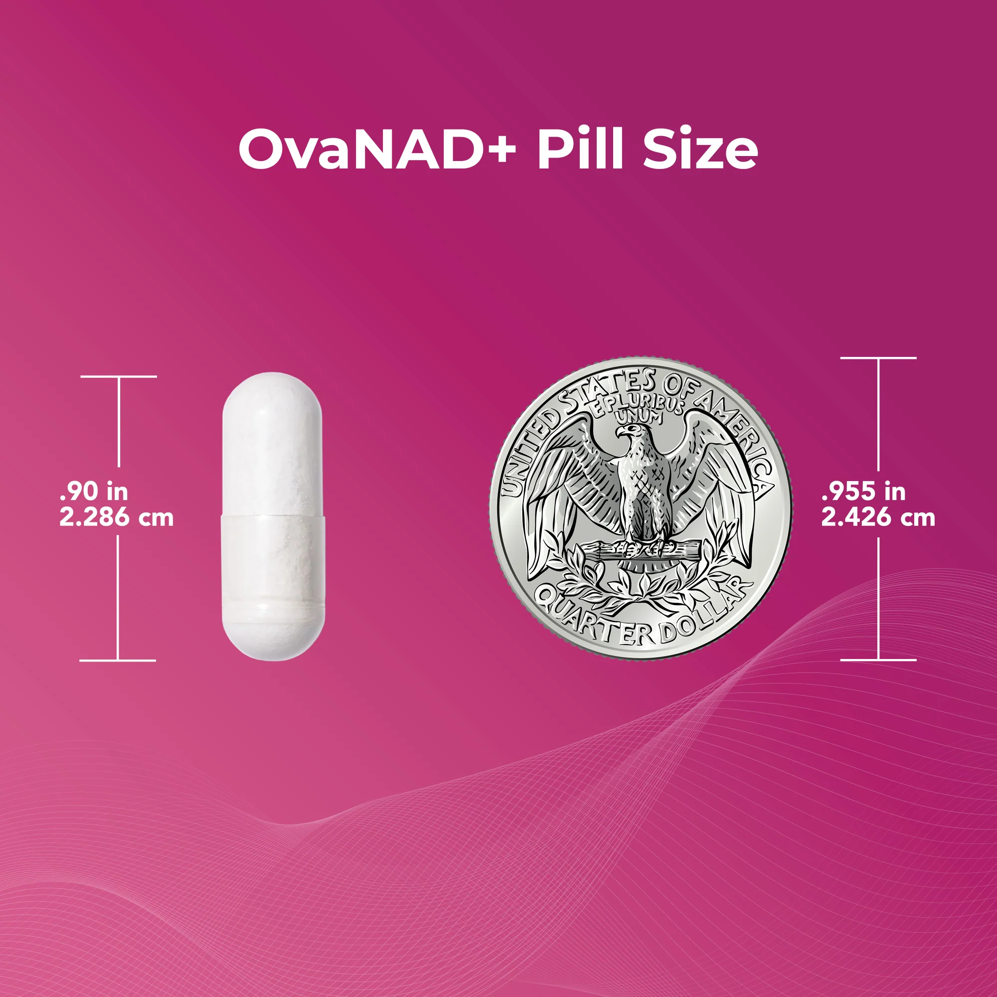 Egg Quality Bundle - Image 6