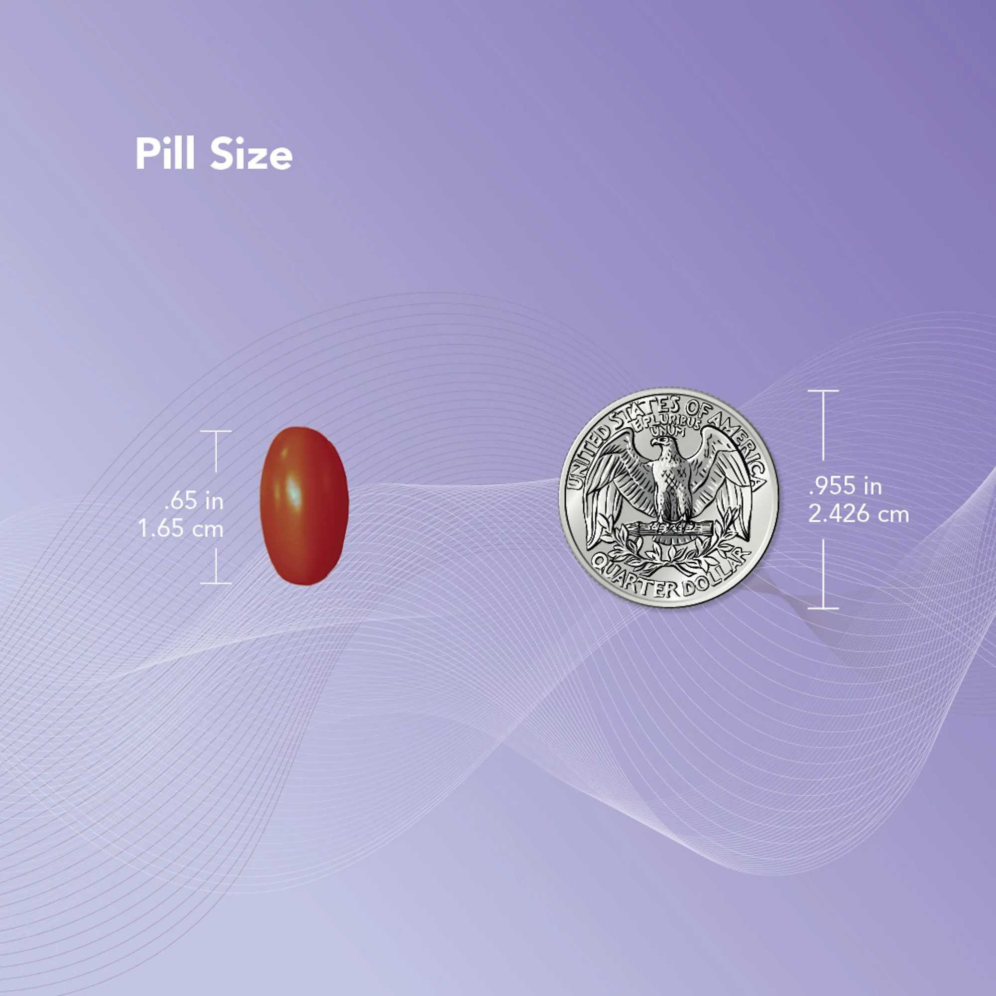 NeoQ10® Coenzyme Q₁₀ (CoQ10) Supplement - Image 6
