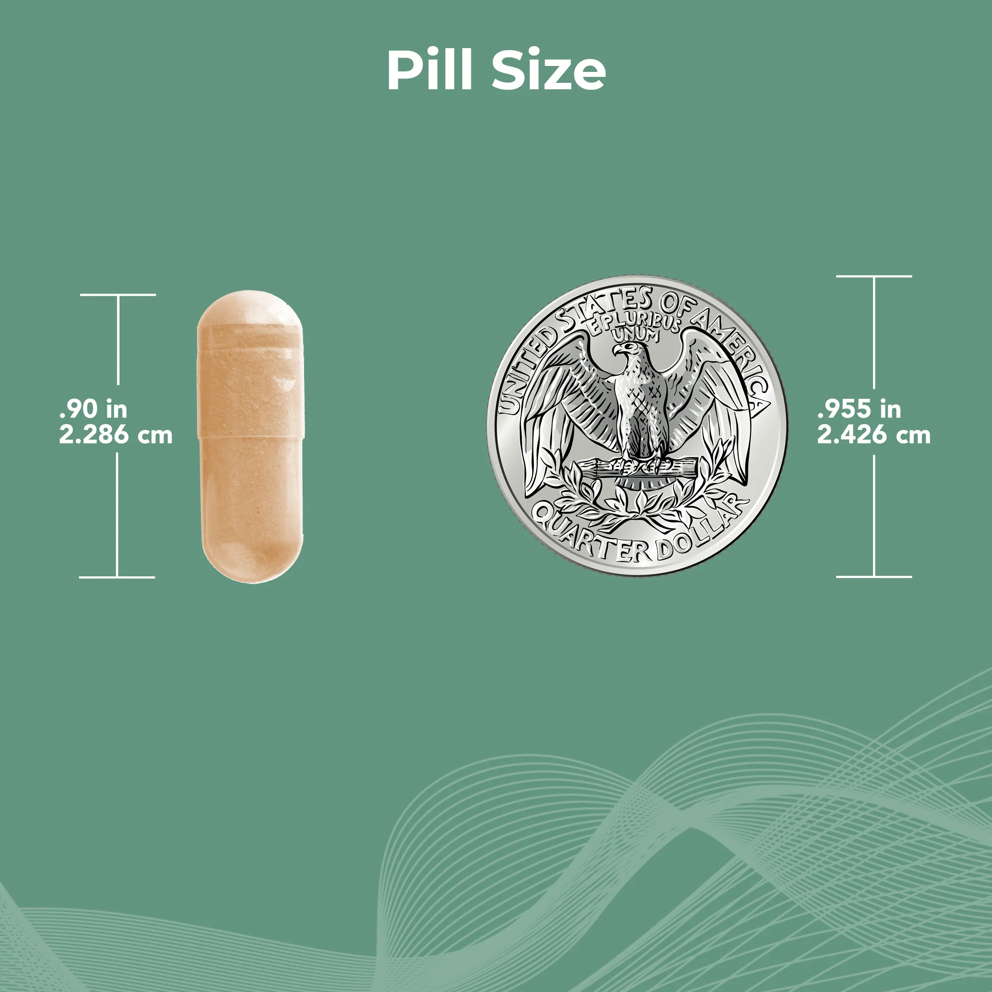 ProCerv HP® High-Potency Multivitamin - Image 5