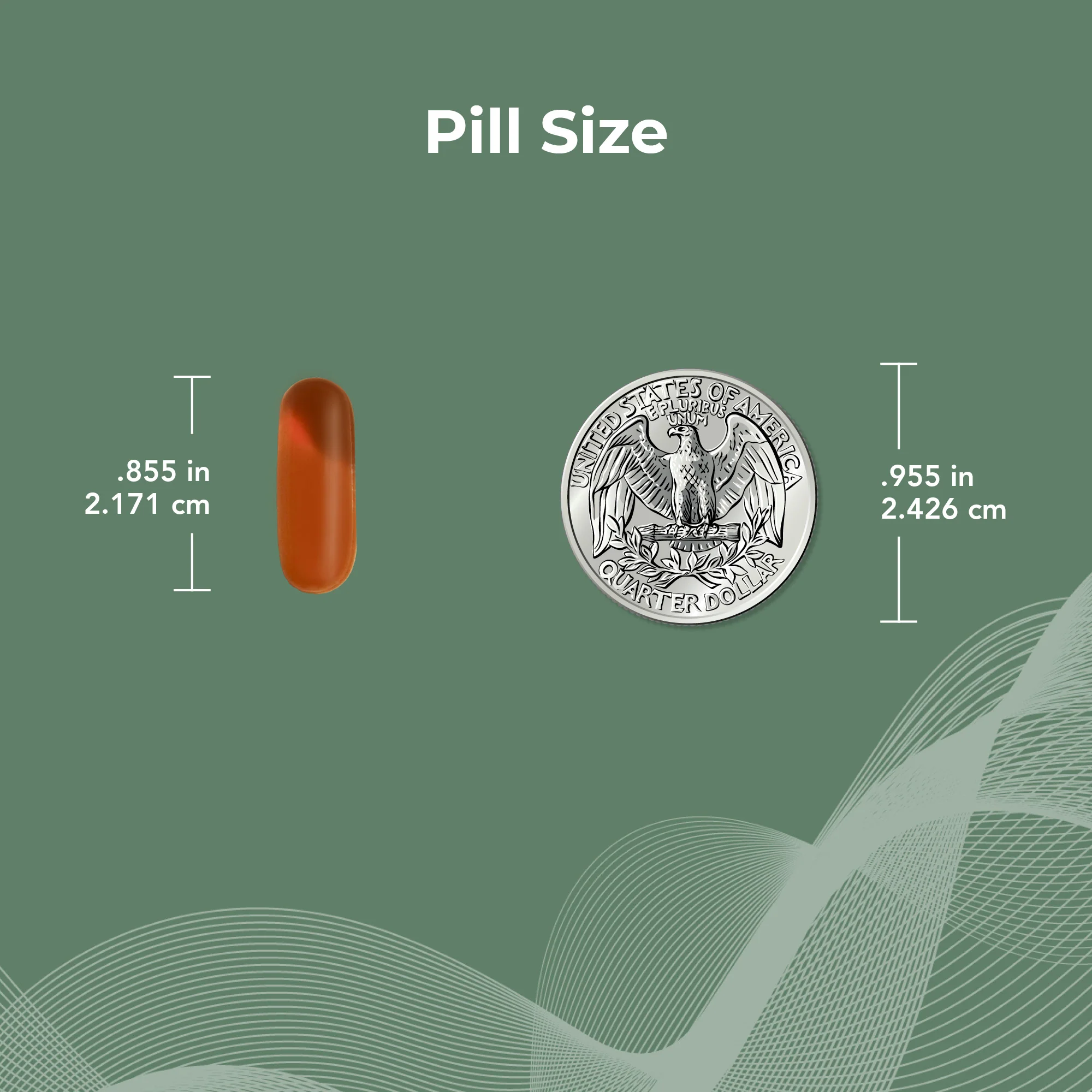 Prostate SR® Saw Palmetto & Phytosterol Supplement - Image 6