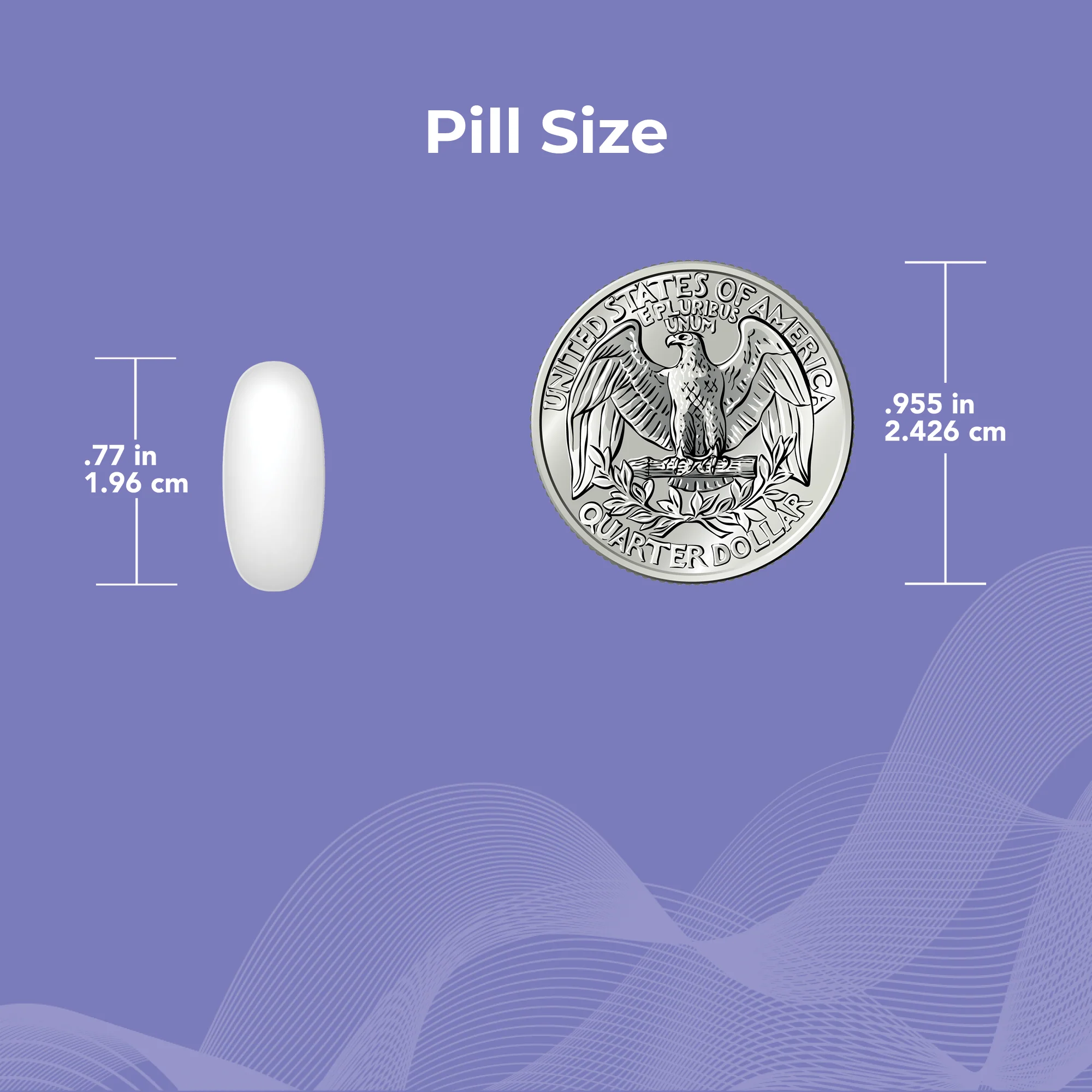 Remplir® B12 & Magnesium Supplement - Image 5