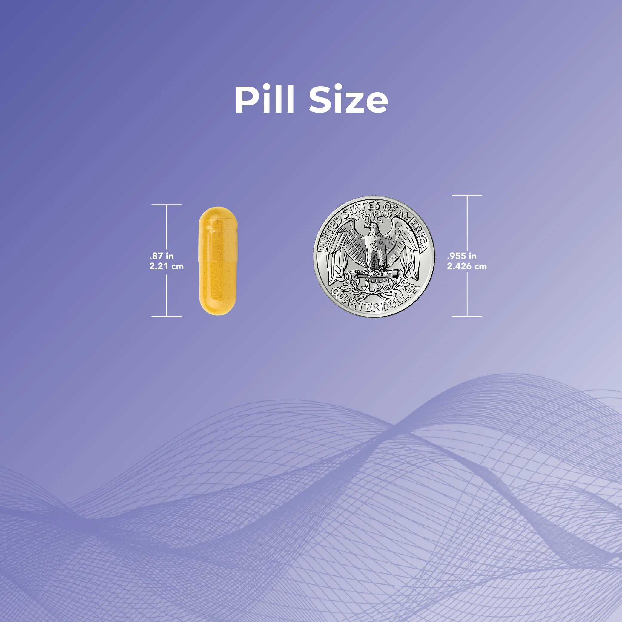 Theravir® Immune Support Supplement - Image 6
